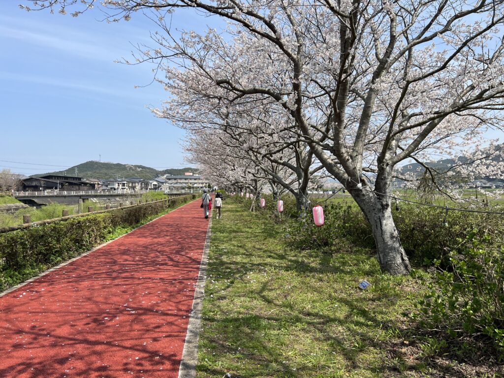 Hasami Gastronomy (March)