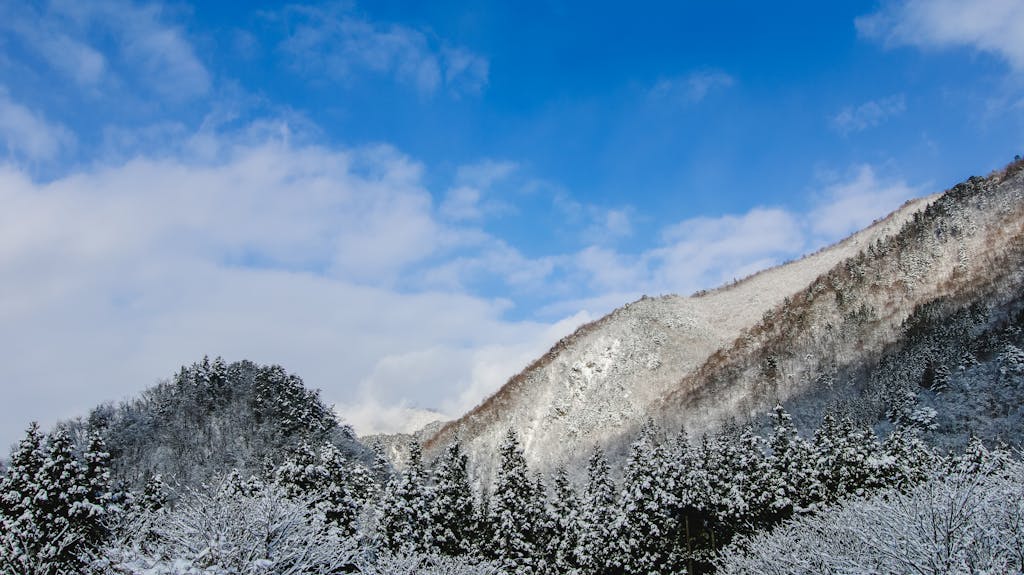 A scenic winter landscape showcasing snow-covered mountains and trees in Nagano, Japan.